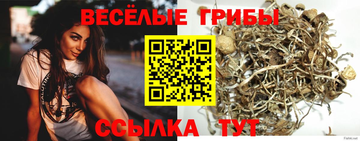 Галлюциногенные грибы MAGIC MUSHROOMS Кыштым