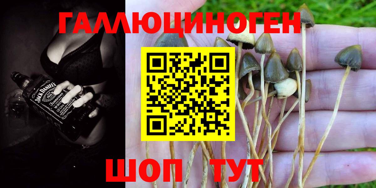 Кыштым  наркошоп  Вход с VPN  Галлюциногенные грибы прущие грибы 