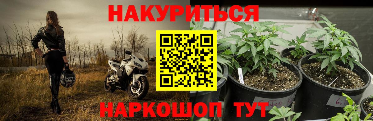 Бошки марихуана тримм  МАРИХУАНА сатива  МАРИХУАНА Ganja  Кыштым  Конопля планчик  Вход с VPN 